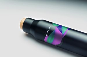 DUDINKA 500ml Leak-Free Insulated Flask