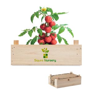 TOMATO Saat-Set Tomate
