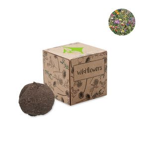 BOMBI Boule graines de fleurs sauvage