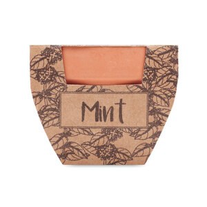 MINT POT Pot avec graines de menthe - GiftRetail MO2218