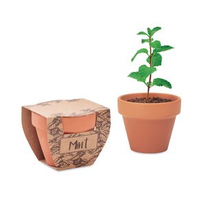 MINT POT Pot avec graines de menthe - GiftRetail MO2218