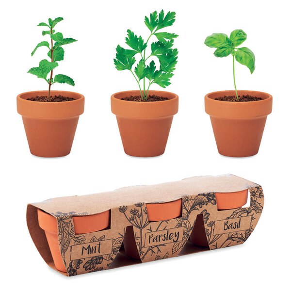 FLOWERPOT Terracotta-Set Kräuter - GiftRetail MO6145
