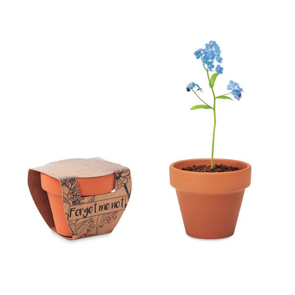 FORGET ME NOT Terracotta-Topf Vergissmeinnich - GiftRetail MO6146