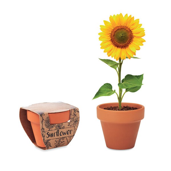 SUNFLOWER Terracotta-Topf Sonnenblume - GiftRetail MO6147