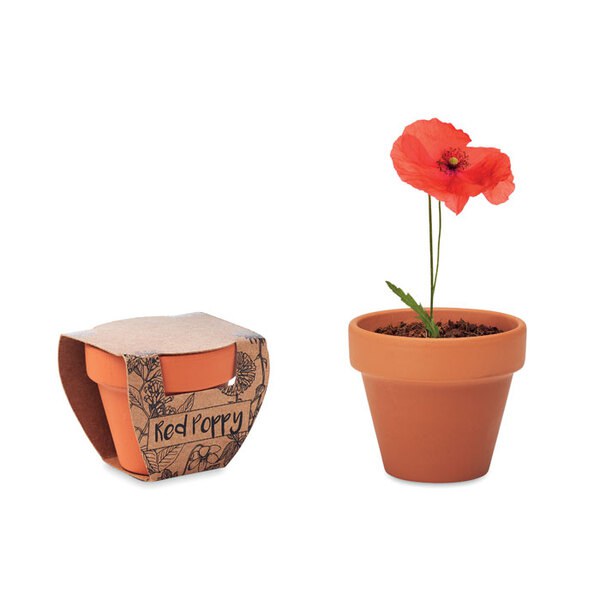 RED POPPY Terracotta-Topf Mohnblume - GiftRetail MO6148