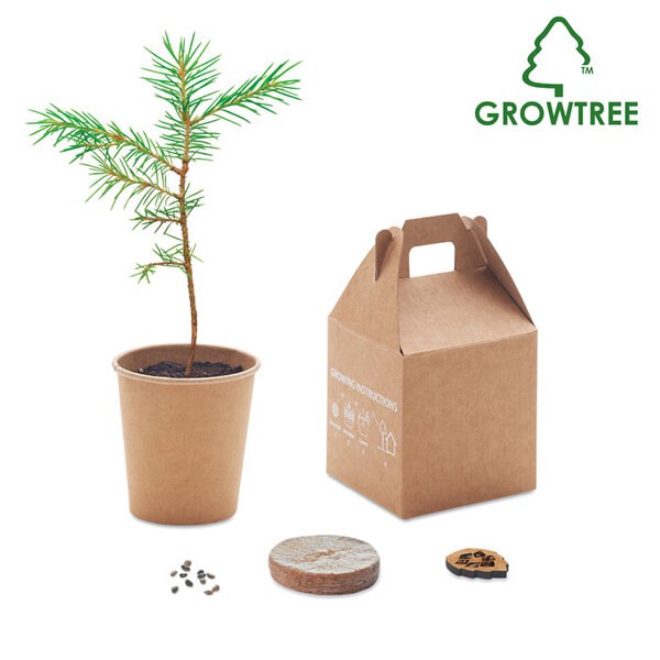 GROWTREE™ Kiefernsamen-Set - GiftRetail MO6228