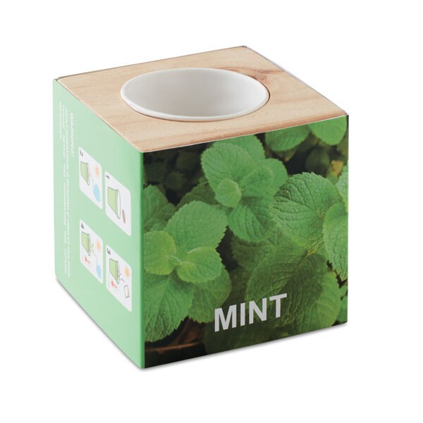MENTA Kräuterpflanz-Set "Minze - GiftRetail MO9337
