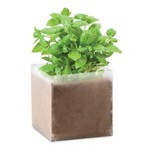 BASIL Pflanz-Set "Basilikum" - GiftRetail MO9545