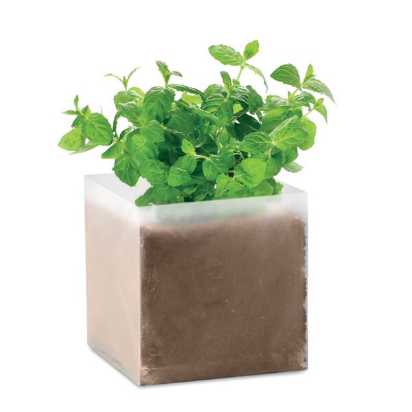MINT Substrat avec graines Menthe - GiftRetail MO9546