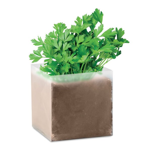 PARSELY Substrat avec graines Persil - GiftRetail MO9547