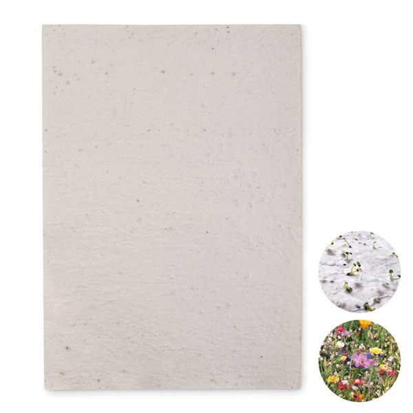 ASIDI DIN A4 Wildblumen-Samenpapier - GiftRetail MO6914