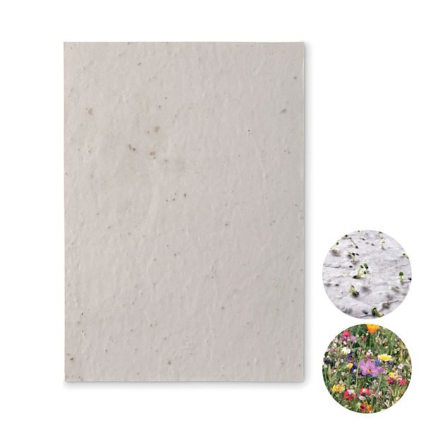 ASIDE DIN A5 Wildblumen-Samenpapier - GiftRetail MO6915