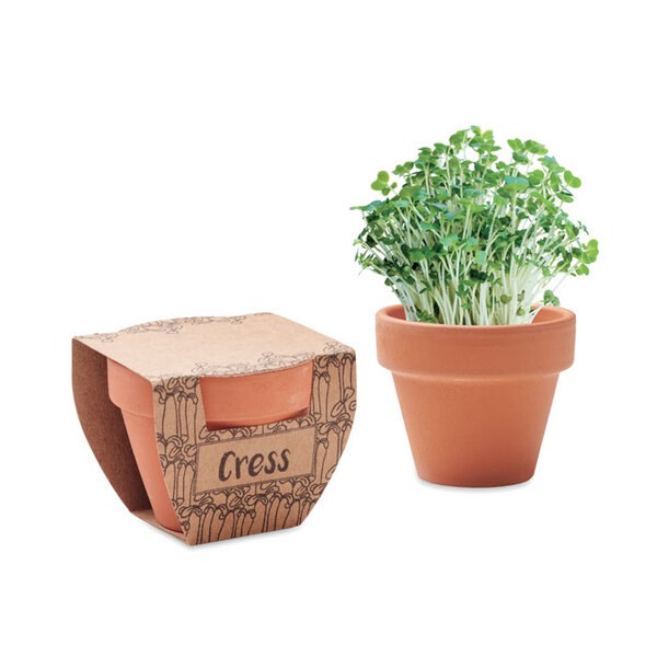 CRESS POT Terrakotta-Topf Kresse - GiftRetail MO2219