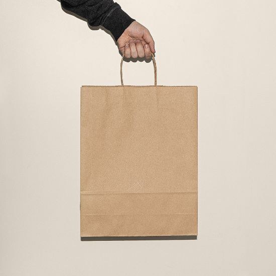 100 gr/m² Paper Bag with Twisted Handles KALI