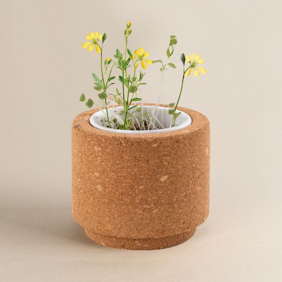 Goya 53531K - Korktopf mit Becher, Erdtablette und Wildblumensamen LUWA