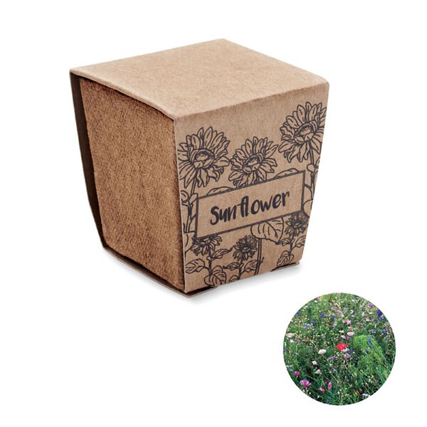 SUNFLOWER KIT Pflanz-Set Sonnenblume